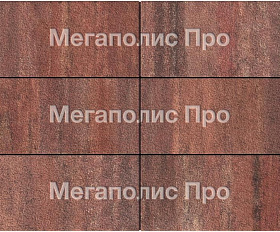 Тротуарная плитка Выбор Прямоугольник Б.5.П.10 600х300х100 мм Листопад Гранит Барселона