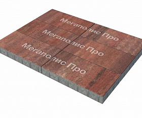 Тротуарная плитка Выбор Прямоугольник Б.5.П.10 600х300х100 мм Листопад Барселона