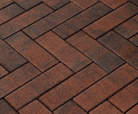 Тротуарная плитка 342 механический завод Паркет 240x80x60мм ColorMix Гавана