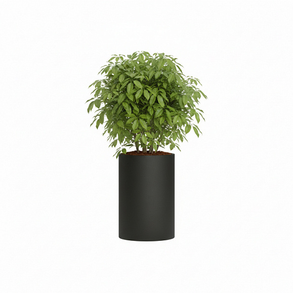 Кашпо Concretika Тюб Макси D40H60 Идеально черный фото 6