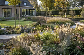 Сад без хлопот: 10 злаков, которые сами украсят ваш участок