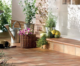 Угловая ступень WKS31200 Westerwalder Klinker Mont Marte