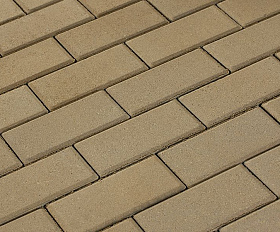 Брусчатка 342 механический завод Прямоугольник 200х100х60 мм Палевый