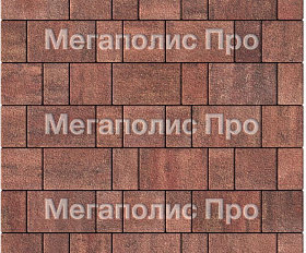 Тротуарная плитка Выбор Старый город Листопад 1Ф.6 60 мм. Барселона Гранит