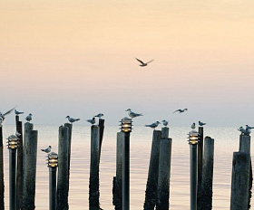 Уличный светильник De Markt Уран 803040601