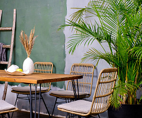 Обеденный стул плетеный CHARLOTTE Joygarden