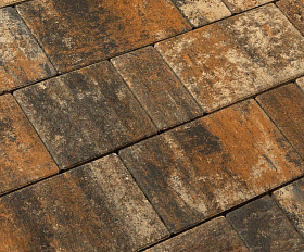 Тротуарная плитка 342 Механический завод Новый Город ColorMix 40мм Карелия