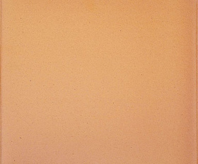 Плитка напольная CANADA GRES Natura 016 Terra 244x244 мм R11