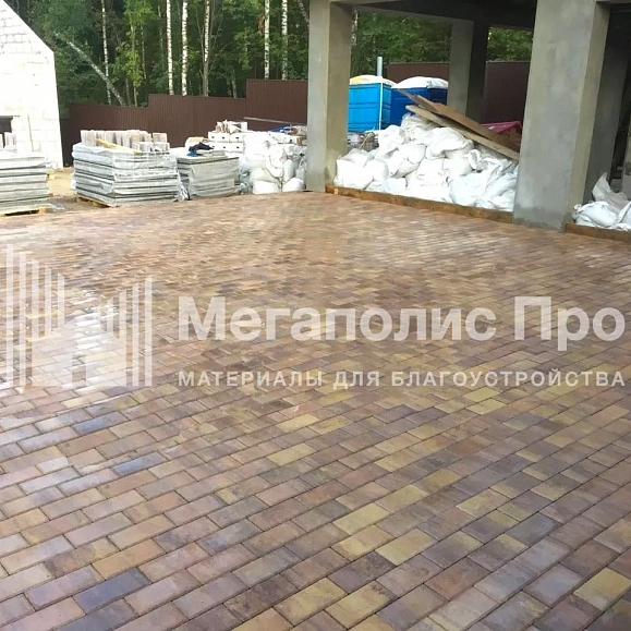 Брусчатка Braer Прямоугольник (кирпич) ColorMix 200х100х60 мм Прайд фото 5
