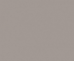 Керамогранитная плитка Estima RW03 160x80 см неполированный