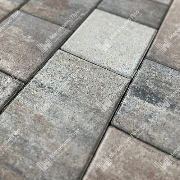 Тротуарная плитка Выбор Старый город Листопад 1Ф.6 60 мм Песчаник фото 2