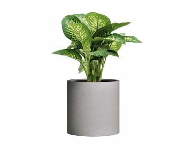 Кашпо Concretika Tube S D49H49 Cool grey