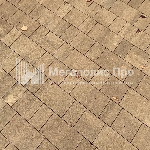 Тротуарная плитка Выбор Старый город Искусственный камень 1Ф.6 60 мм. Плитняк фото 1