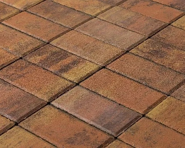 Брусчатка Braer Прямоугольник (кирпич) ColorMix 200х100х40 мм Прайд