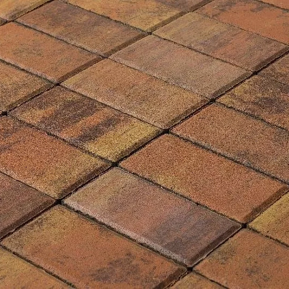 Брусчатка Braer Прямоугольник (кирпич) ColorMix 200х100х40 мм Прайд фото 3