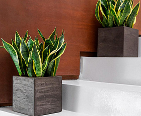 Кашпо Concretika Bowl D52 H29 Brezent Grey