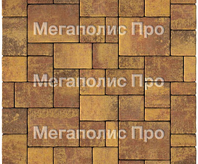 Тротуарная плитка Выбор Мюнхен Б.2. Фсм.6 60 мм Листопад Осень