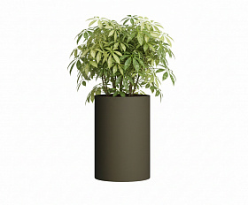 Кашпо Concretika Тюб Макси D40H60 Олива 310 256