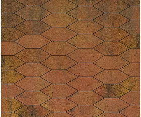 Тротуарная плитка Выбор Скошенный шестиугольник Б.1.ШГ.6 60 мм Листопад Сахара Терракотовый
