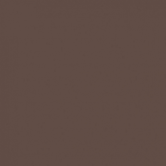 Керамогранитная плитка Estima RW04 60x60 см неполированный фото 1