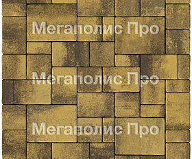 Тротуарная плитка Выбор Мюнхен Б.2. Фсм.6 60 мм Листопад Янтарь