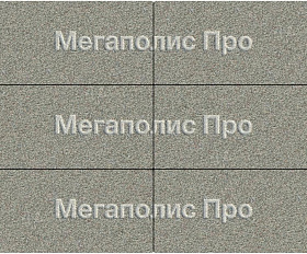 Тротуарная плита Фабрика Готика 600x300x80 мм Сильвер 10
