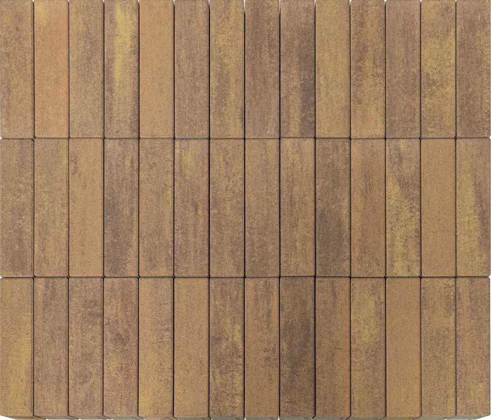 Тротуарная плитка Braer Ригель 320x80x60 мм Colormix Прайд фото 3
