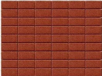 Брусчатка Прямоугольник 200х100х40 мм - Braer красный
