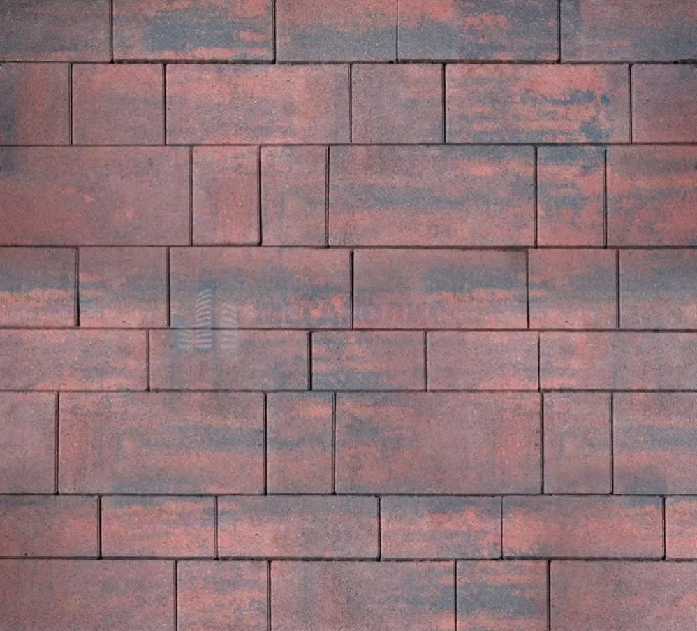 Тротуарная плитка Artstein Инсбрук Тироль 60 мм Color Mix Рейнир фото 1