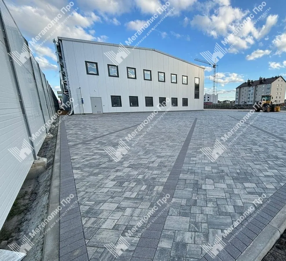 Тротуарная плитка 342 Механический завод Бавария ColorMix 60мм Арктика фото 7