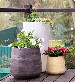 Вазоны и кашпо